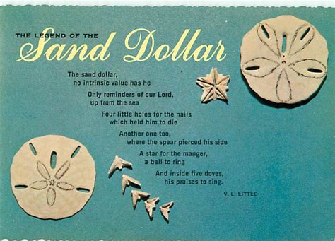 Sand Dollar Story Printable